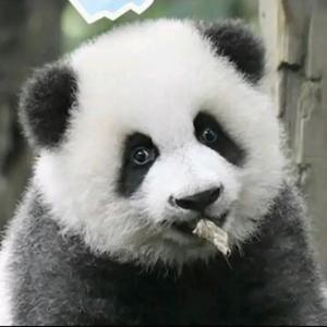 推荐绩笑✨头像