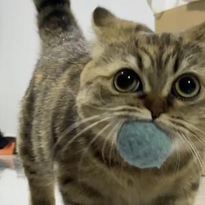 咦呦喂嘿呀头像