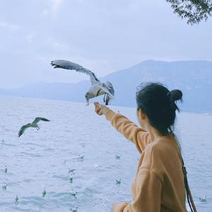 小叶同学🍃头像