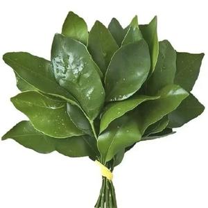 香港港曼堂好运香水企业店授权号头像