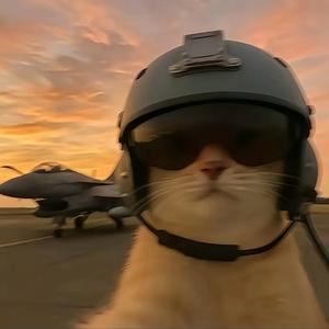 羞答答的玫瑰，静悄悄的开头像