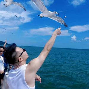 爆米传媒（飞子）头像