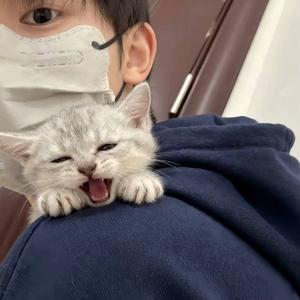 河北最蛮的头像