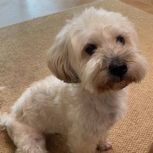 点点小宝努力变瘦头像