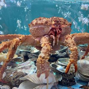 长顺海产（龙岗分店）头像