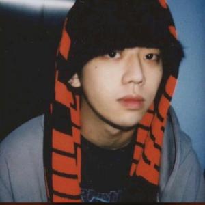 AAA猪饲料批发辉哥头像