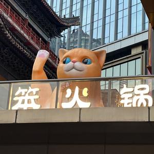 翠翠翠翠翠头像