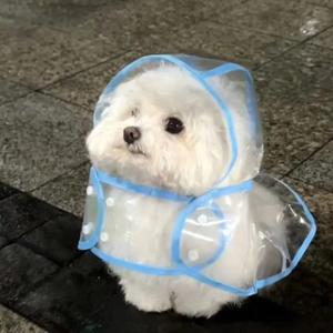 悲伤的小痛公主头像