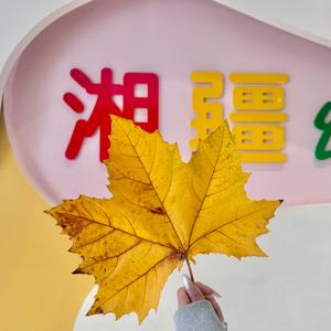 蒸湘区湘疆幼儿园头像