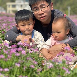 赣南野牛农业头像