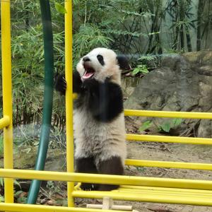 梧州闲人在🇭🇰头像