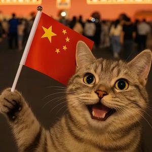 🪭🪭我的狸花猫——叫怕怕🪭🪭头像