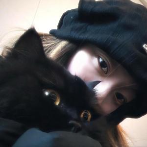 小熊呆呆🦄头像