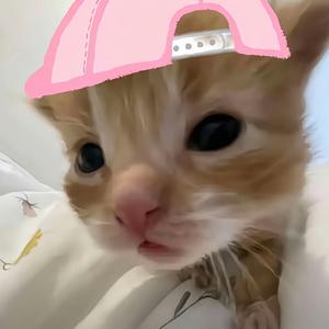 跪求六字ID头像