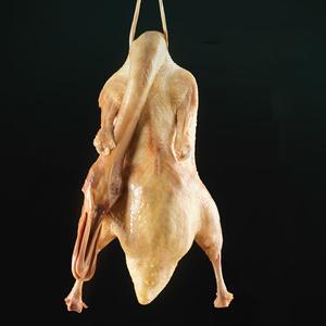 南京盐水鸭老字号头像