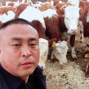 山西兵哥养牛（忻州肖勇）头像