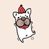 月亮上嗨皮的青蛙头像