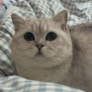 我是你爸爸头像