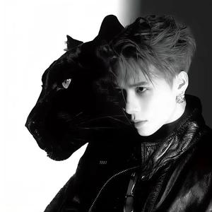 凡不烦🕷️头像