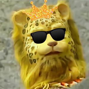 我是一个小鸭子咿呀咿呀哟头像