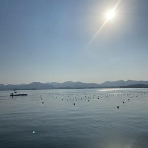 桂老师教育思考头像