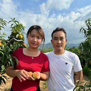 沂蒙山娟娟头像