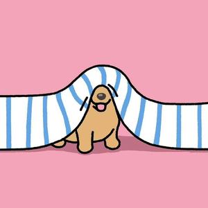 Kiki 💠⁷¹⁷头像