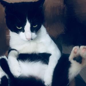 数学迈提克头像