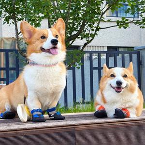 海绵^_^钢镚头像