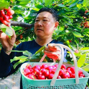 周氏樱桃庄园头像