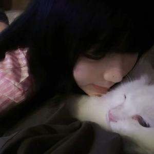 流泪猫猫头🐱头像