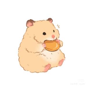 吃吃印度飞饼头像