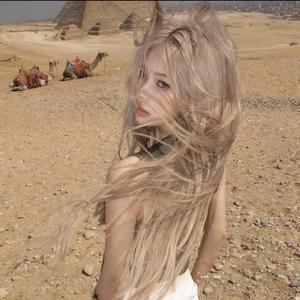 纪纪纪不住sq.头像