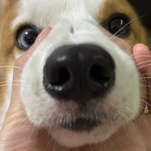 臭臭不臭🍔头像