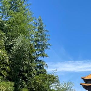 小满即圆满头像