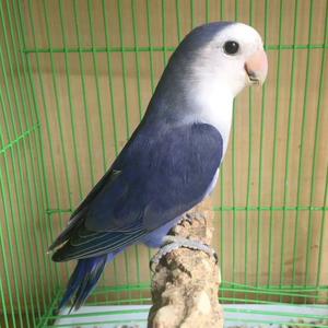 用户9514527542334头像