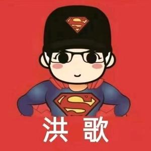 洪歌头像