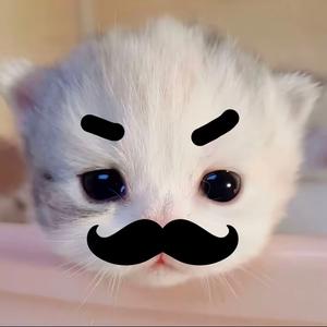 青梅梅什么的头像