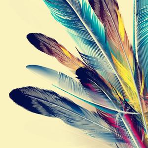 用户8033078877682头像