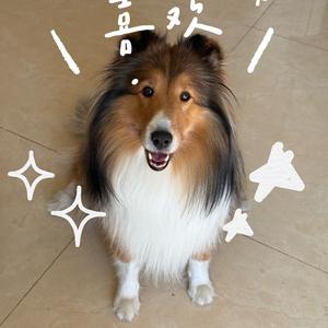 开宝马的厂妹头像