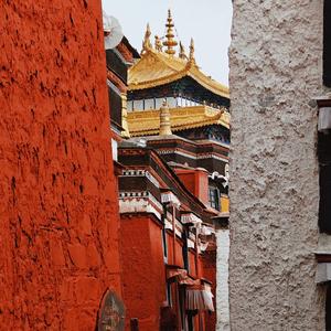 扎基文艺辉辉头像