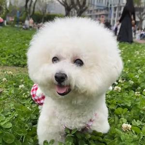 陈慧养宠小课堂头像