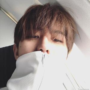 西兰花炒鸡蛋K头像