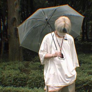 Procyon🦁💕头像