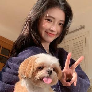 明明明天见头像