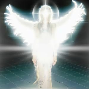 无敌海星⭐头像