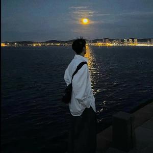 莺歌（Dark and darker）头像