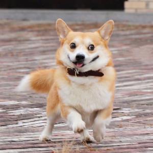 ⭕️〇O0 o •。.头像