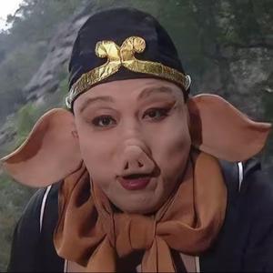 八戒说厂（进厂私信）头像