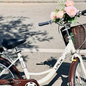 一个不懂花的瘦子头像